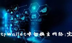 如何在tpWallet中切换主网络：完整指南