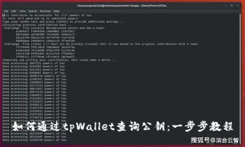 如何通过tpWallet查询公钥：一步步教程