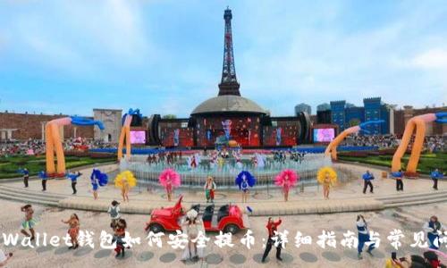 :
Trust Wallet钱包如何安全提币：详细指南与常见问题解答