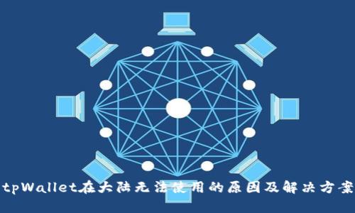 tpWallet在大陆无法使用的原因及解决方案