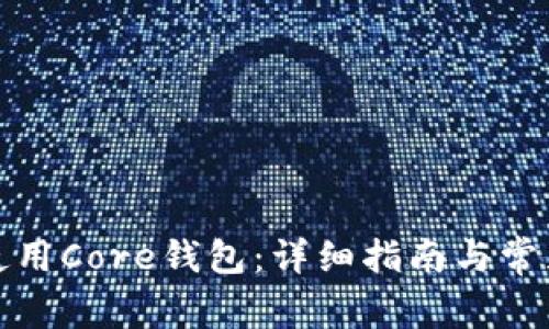 如何正确使用Core钱包：详细指南与常见问题解答
