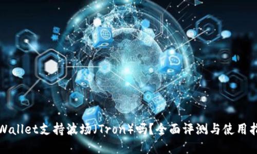 tpWallet支持波场（Tron）吗？全面评测与使用指南