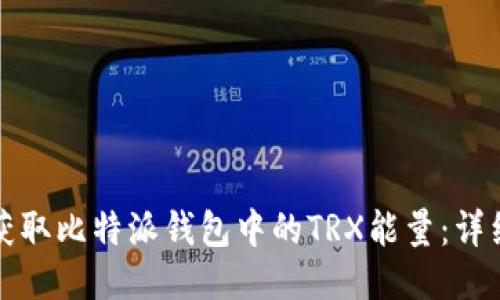 如何获取比特派钱包中的TRX能量：详细指南