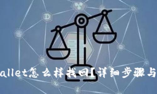误删tpWallet怎么样找回？详细步骤与解决方案
