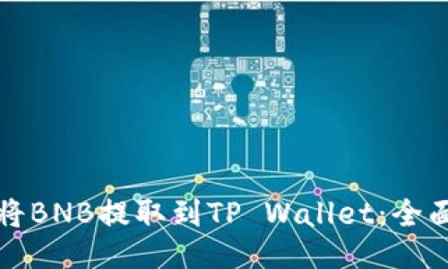 如何将BNB提取到TP Wallet：全面指南