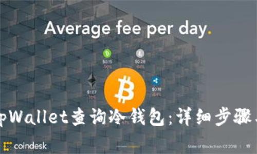 如何使用tpWallet查询冷钱包：详细步骤与注意事项
