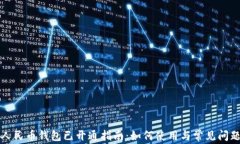 数字人民币钱包已开通指南：如何使用