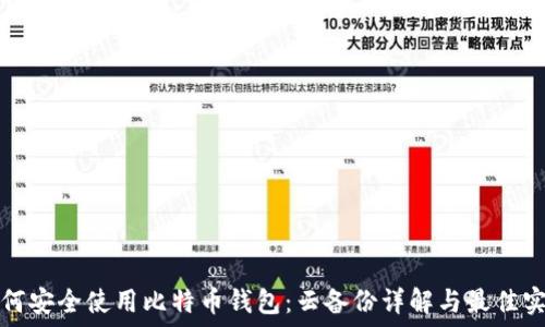 如何安全使用比特币钱包:云备份详解与最佳实践