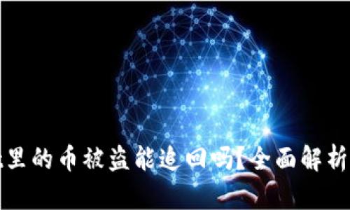 : tpWallet里的币被盗能追回吗？全面解析与解决方案