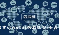 如何设置tpWallet的指纹锁：全方位指南
