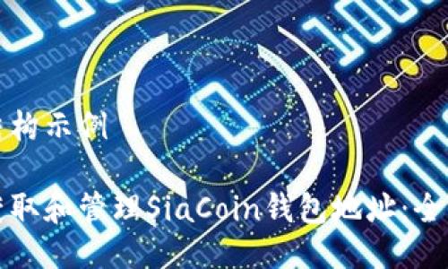 文档结构示例

如何获取和管理SiaCoin钱包地址：全面指南