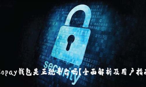 Copay钱包是正规平台吗？全面解析及用户指南