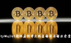 tpWallet转账后缀中文现象解析与解决方